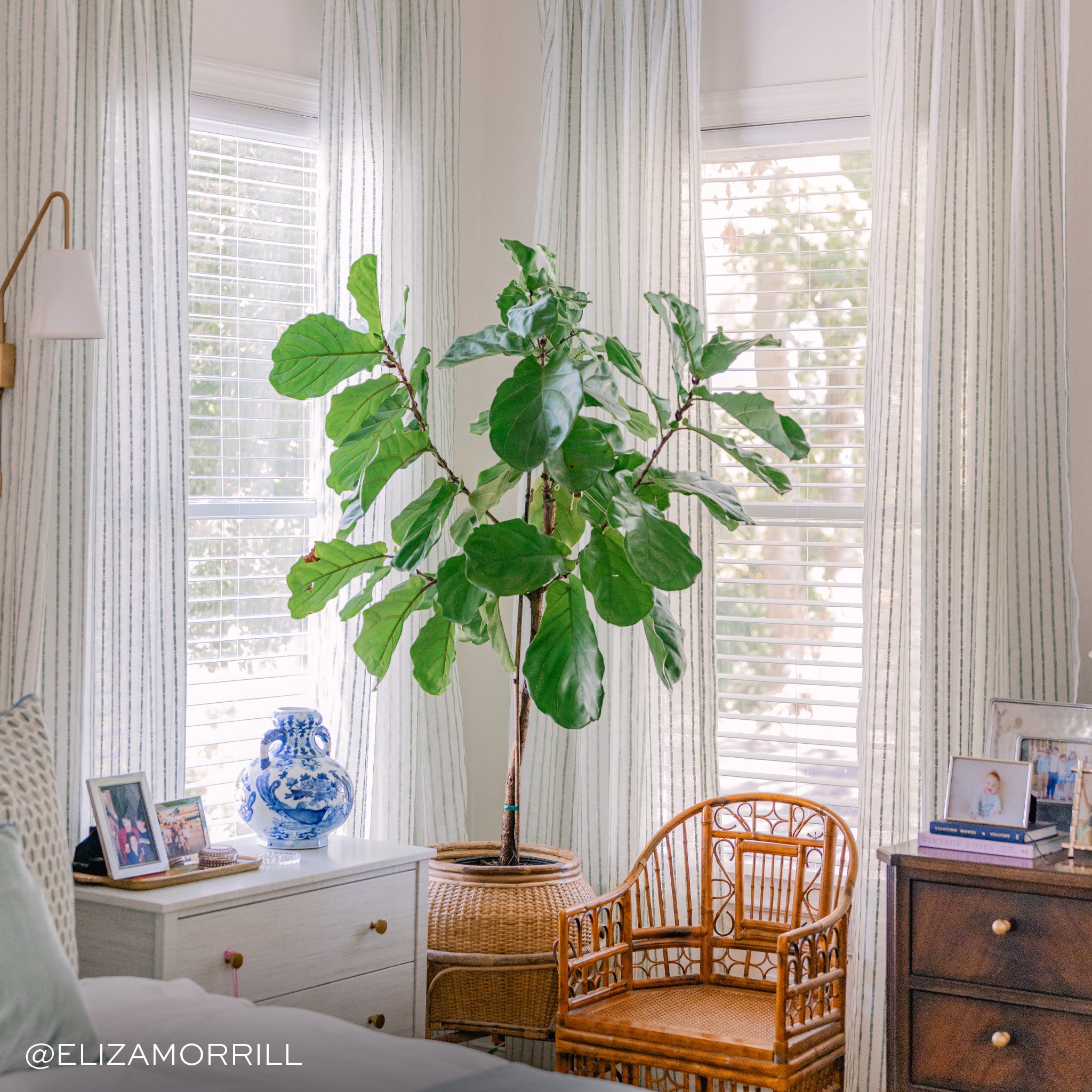 sheer white embroidered mint green stripe curtains hung in front of illuminated windows in the corner of a bedroom with a light brown rattan chair in front of one window with a large green plant sitting next to the chair and in front of the other window. A white side table sitting next to the plant with a blue and white vase on it and framed photos