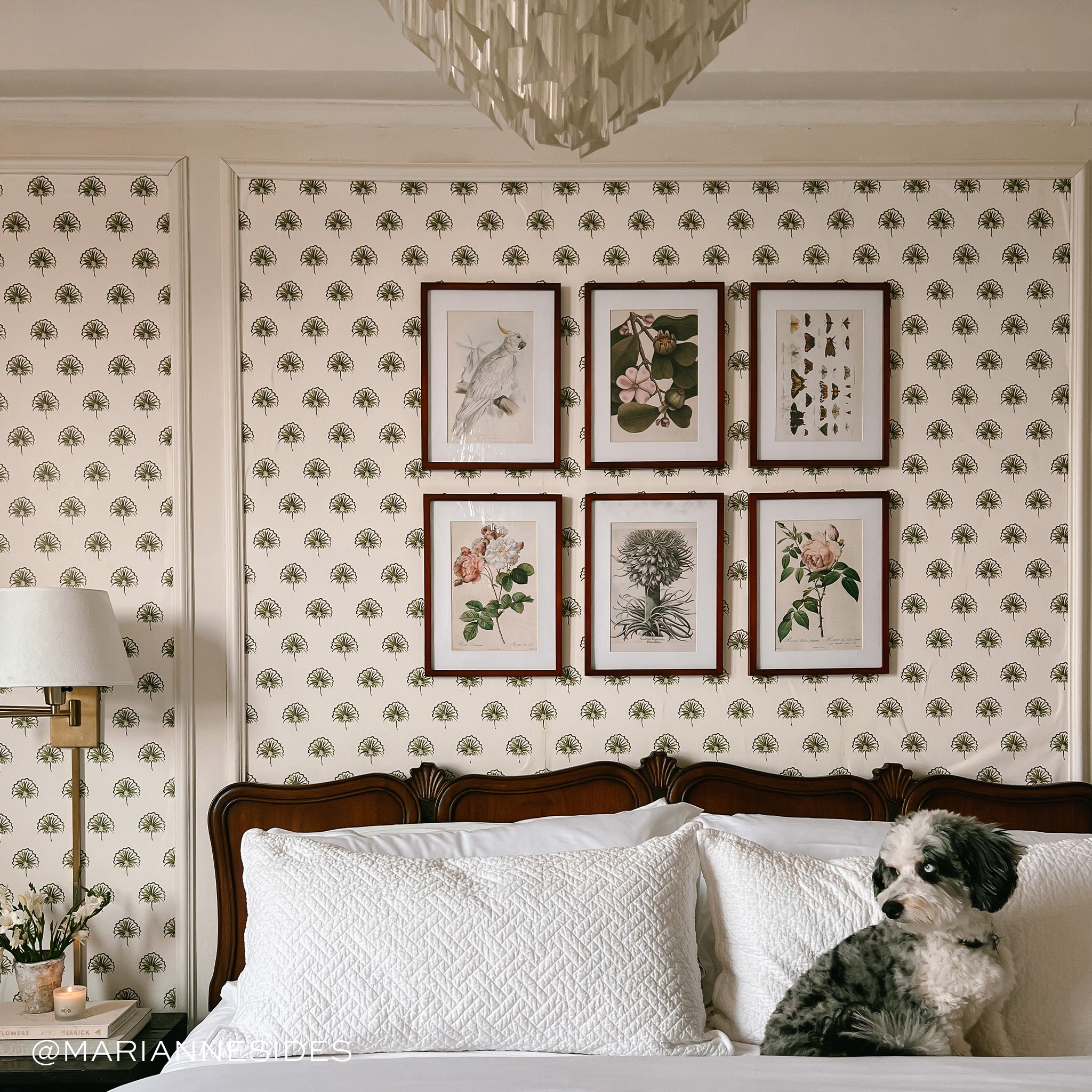 White bed close-up styled with 6 frames hung on Green Floral Printed Wallpaper and white and black dog on bed. Photo taken by Marianne Sides