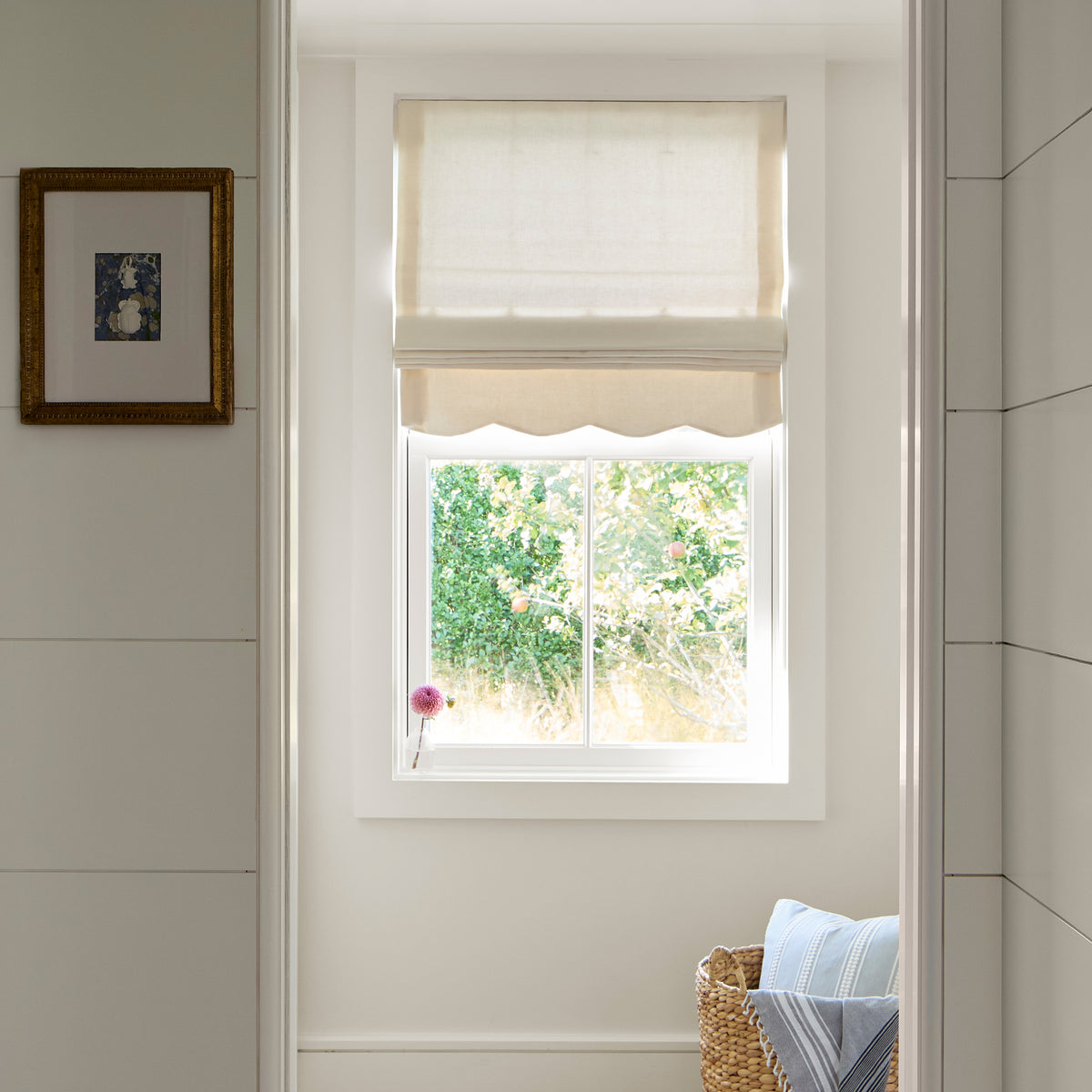 FEATURED: Shown in Flour / Scalloped