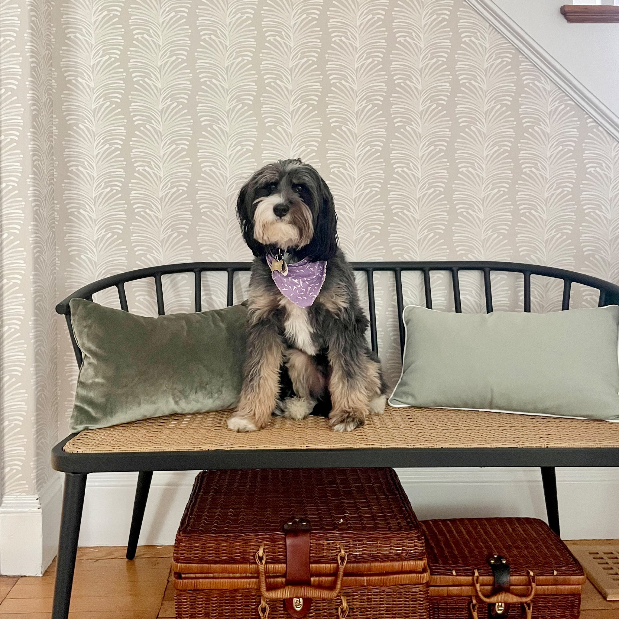 FEATURED: Photo by @halliehl