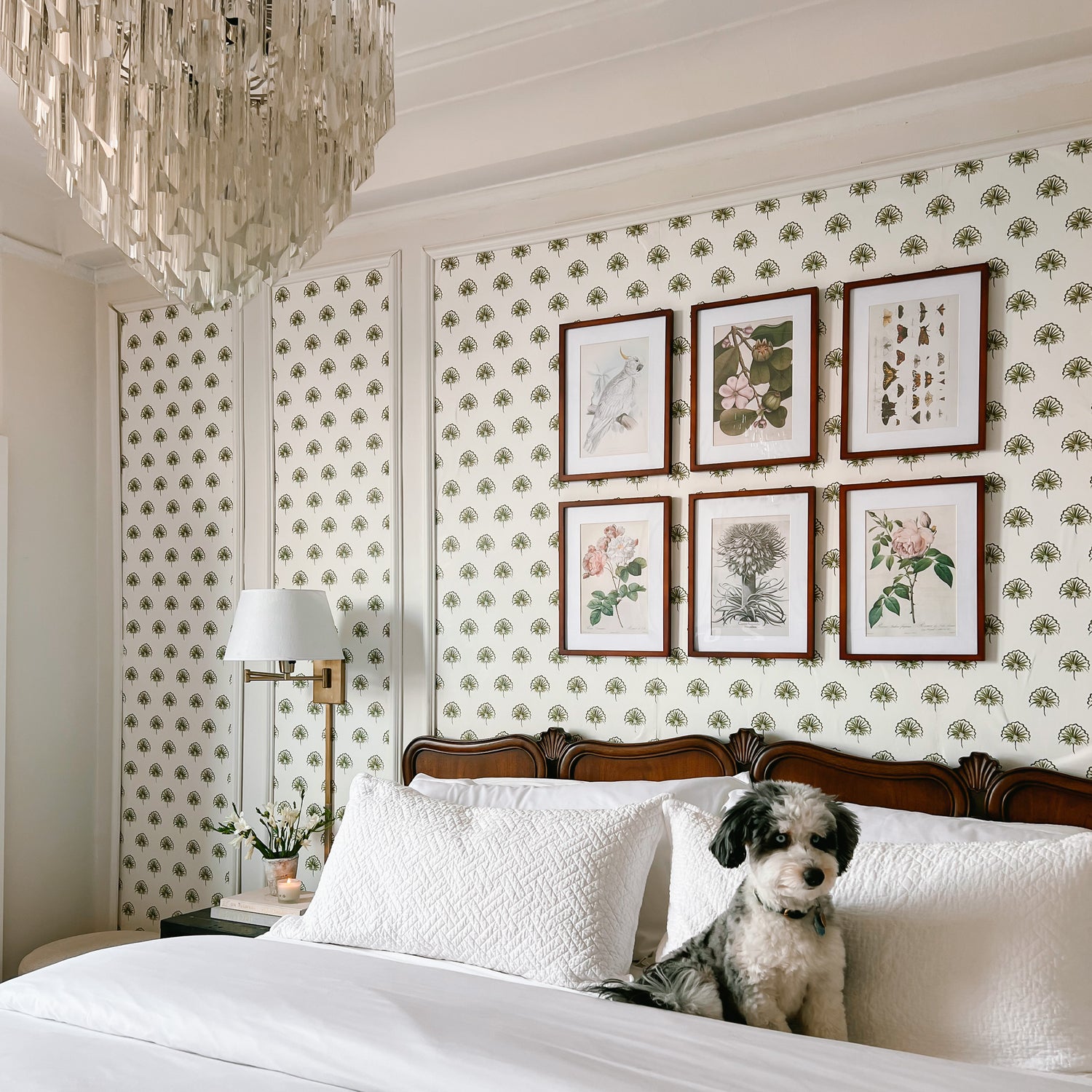 FEATURED: Photo by @mariannesides