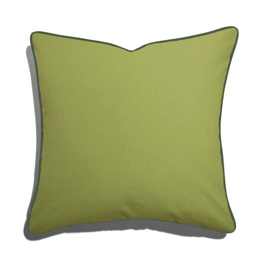 Apple Cotton Pillow - 22"x22" w. Fern Velvet Piping