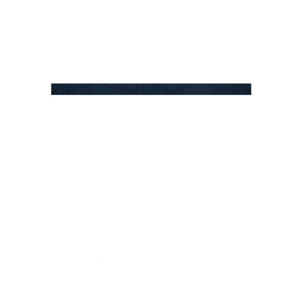  vivienne custom on white background