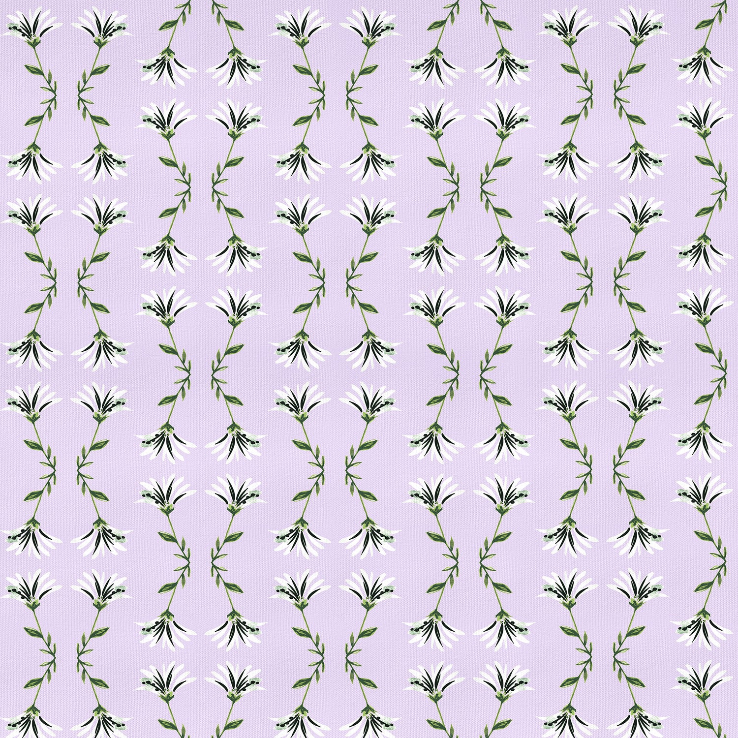 Marina Lavender