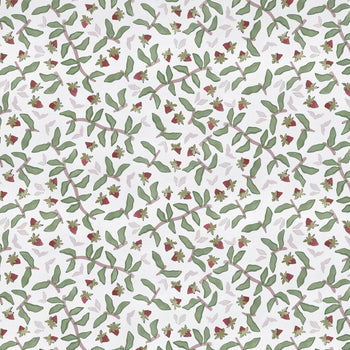 Strawberry & Botanical Print