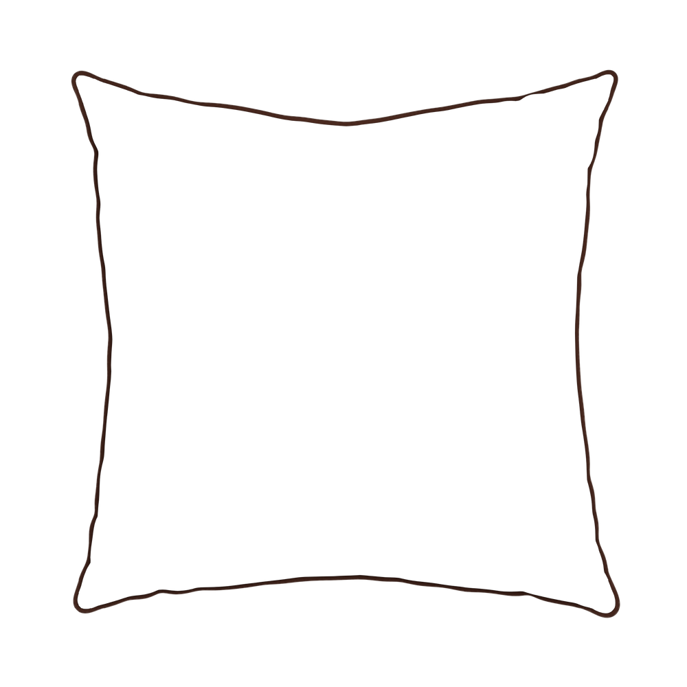 Euro-sham quinn chestnut custom pillow with c piping on white background
