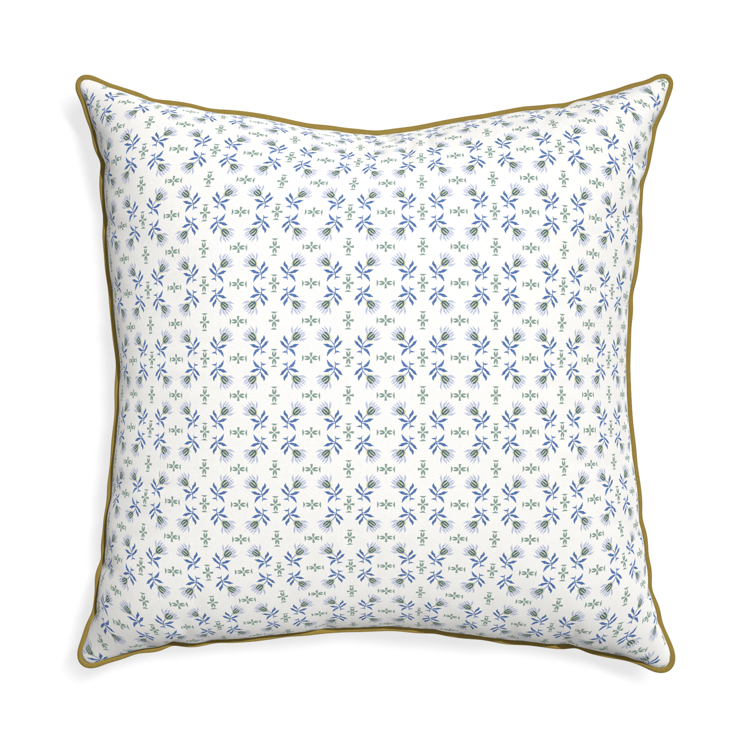 Euro-sham lee custom blue & green floralpillow with c piping on white background
