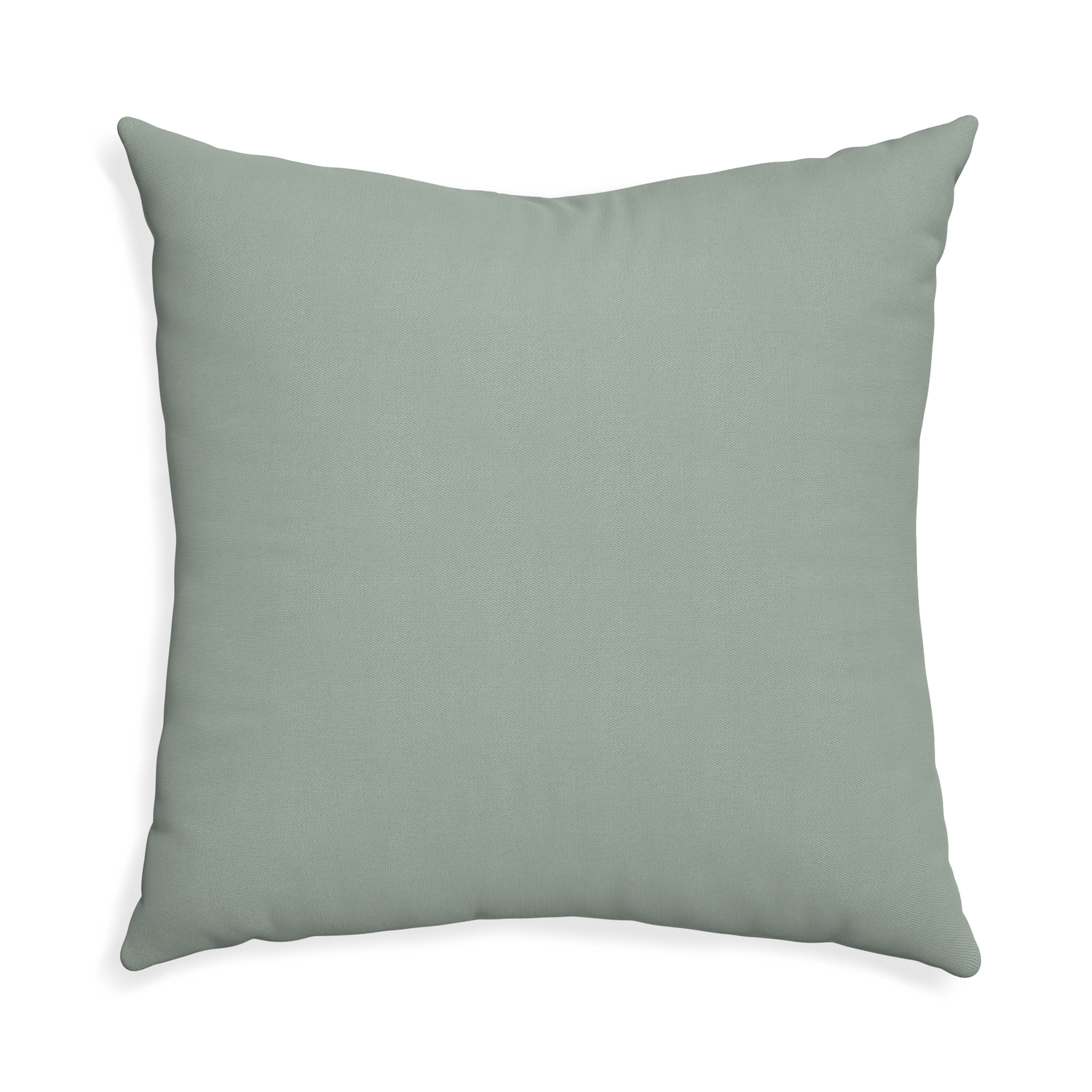 Euro-sham sage custom pillow with none on white background