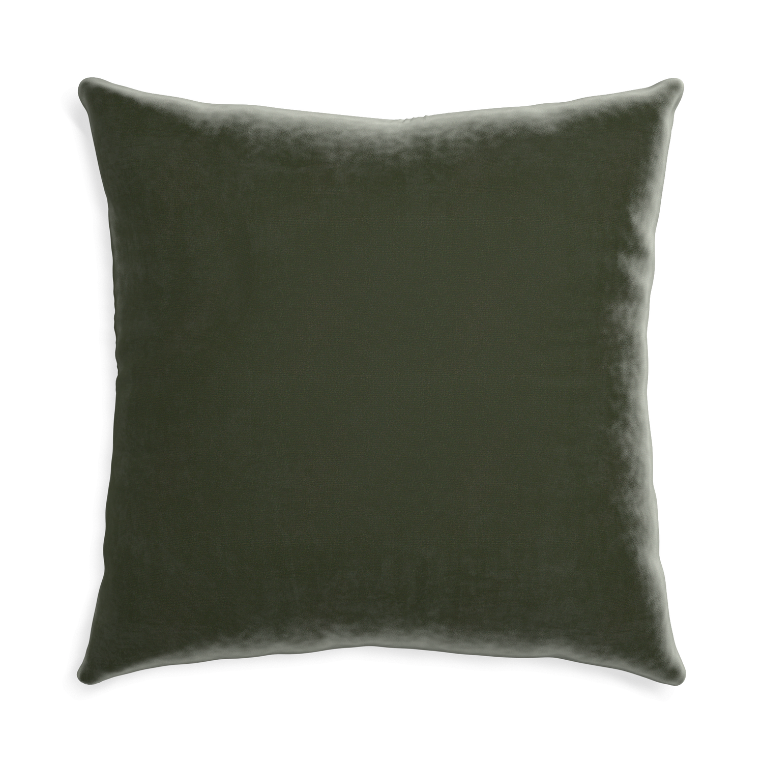 Euro-sham fern velvet custom pillow with none on white background