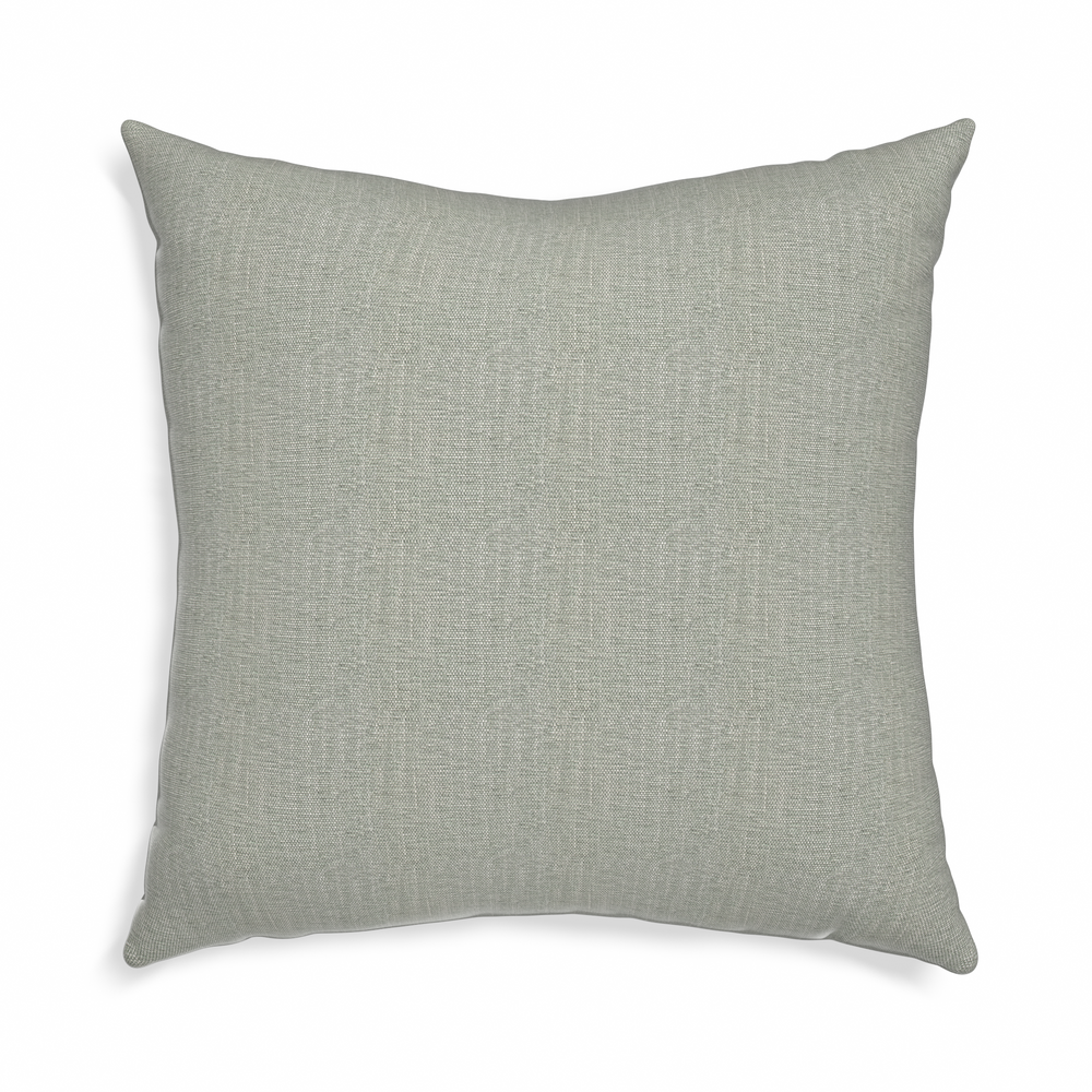 Euro-sham sea salt custom pillow with n on white background