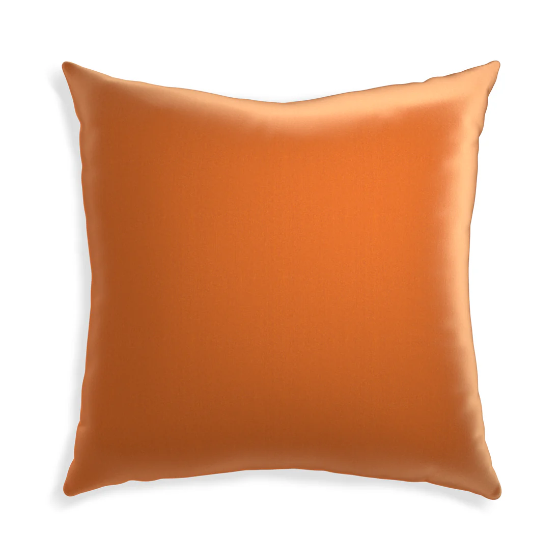 Euro-sham autumn velvet custom coralpillow with none on white background