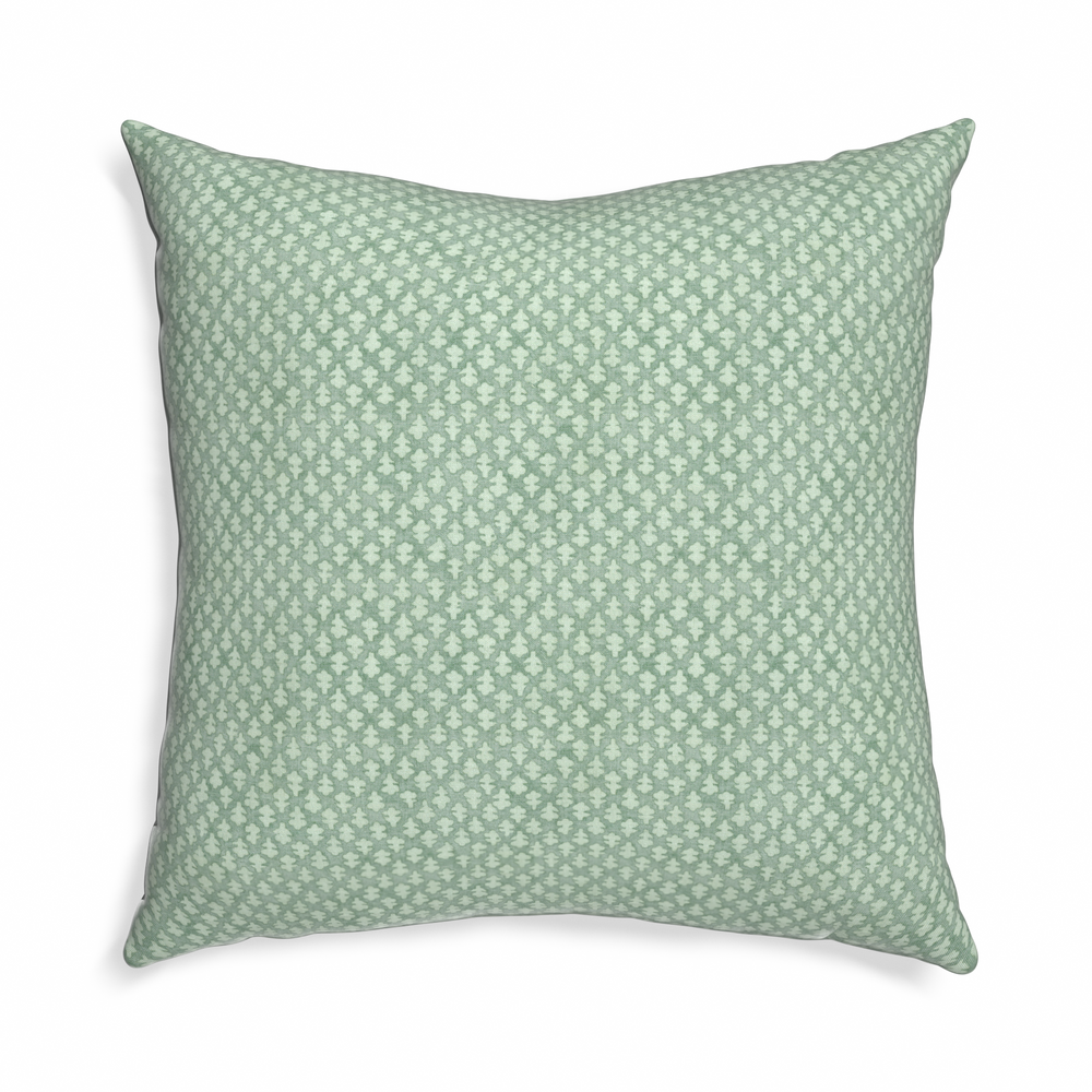 Euro-sham quinn celadon custom pillow with n on white background