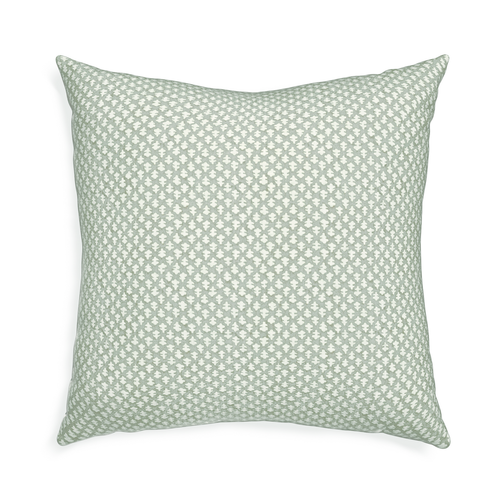 Euro-sham quinn eucalyptus custom pillow with n on white background