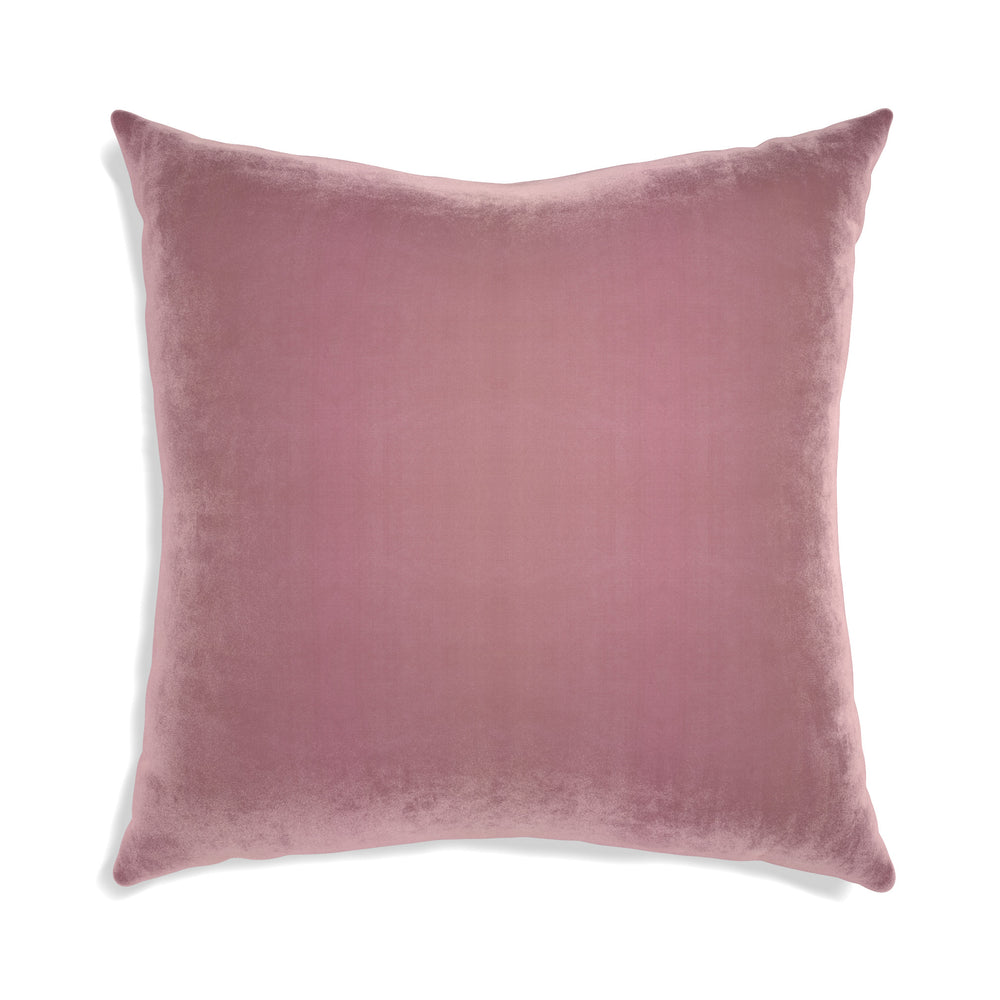 Euro-sham azalea velvet custom pillow with n on white background