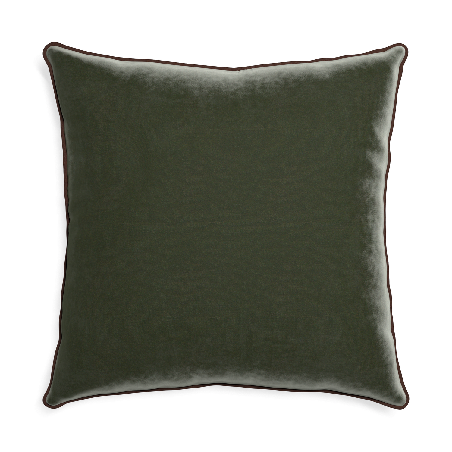 Euro-sham fern velvet custom pillow with w piping on white background