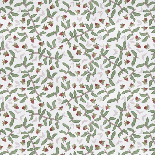 Strawberry & Botanical Print