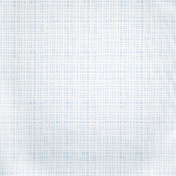 Sky Blue Gingham Linen Print