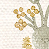 Lucie Chamomile