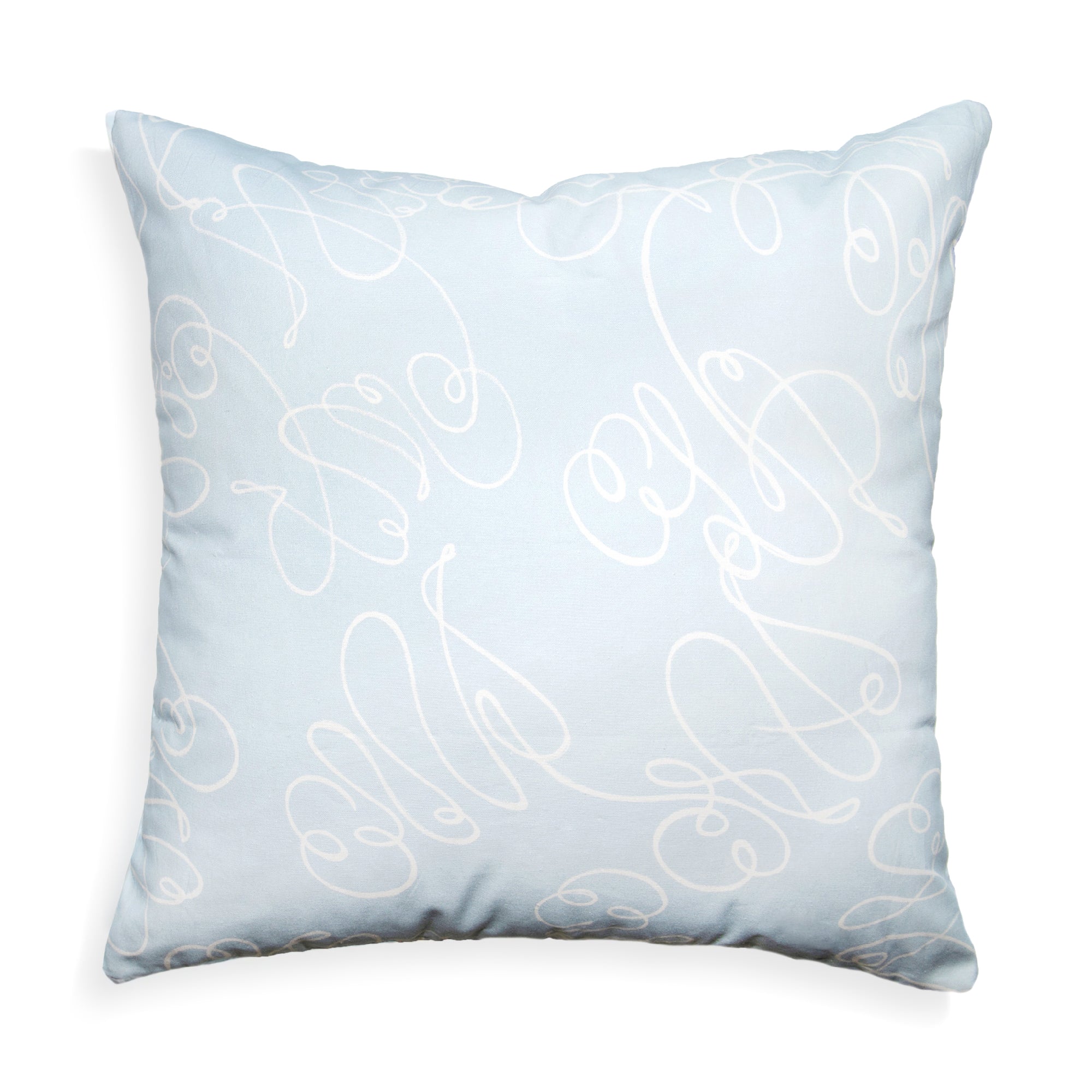 Powder blue pillow outlet cases