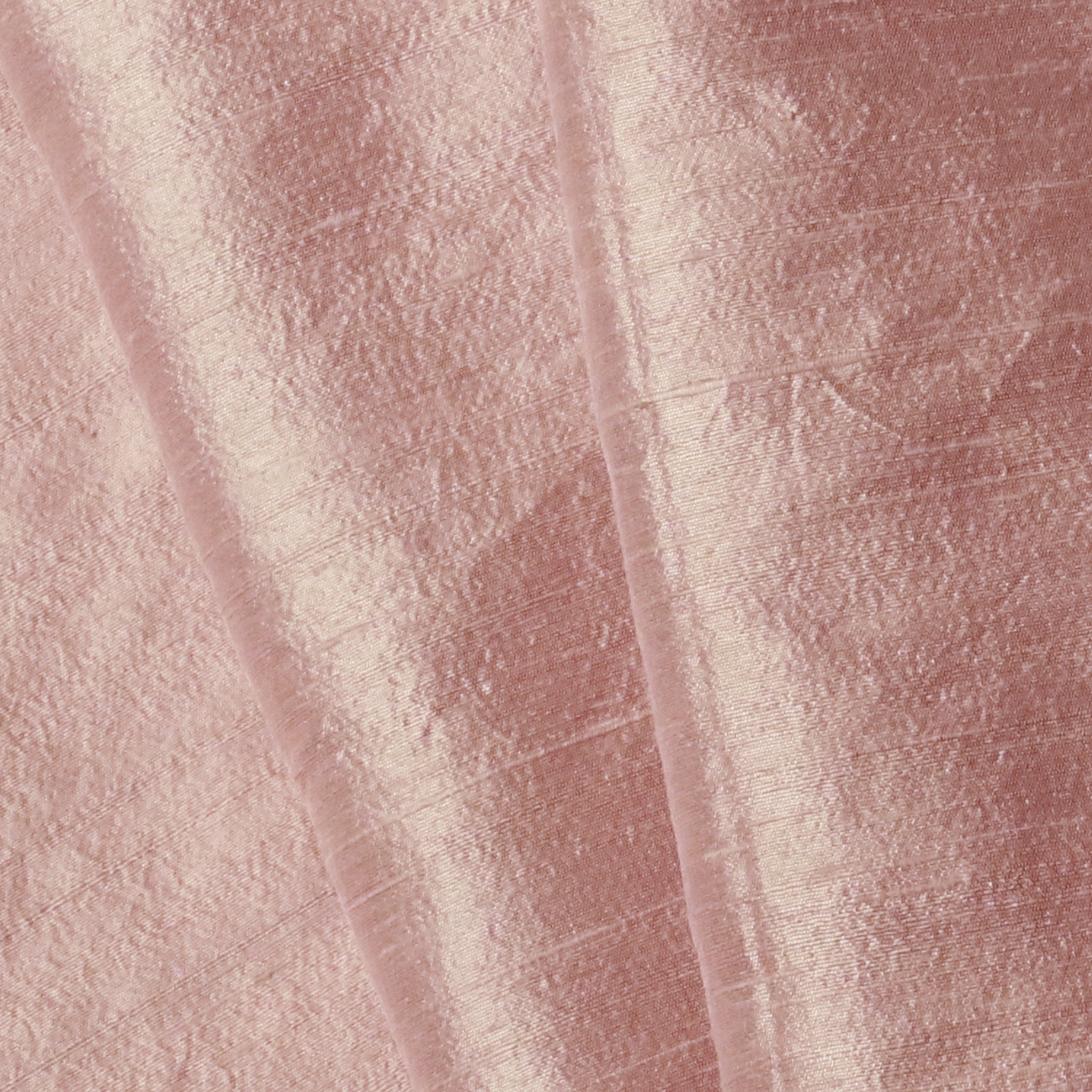 Camelia