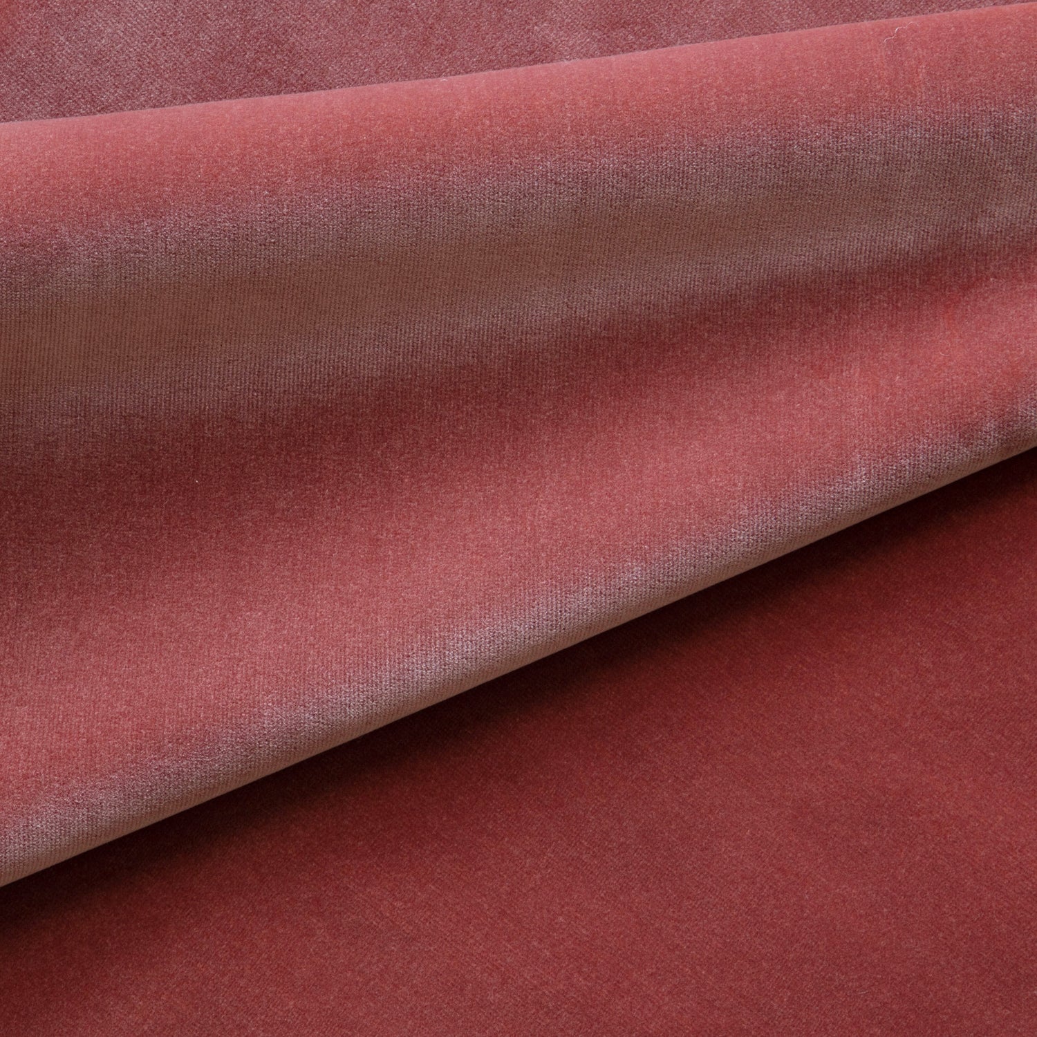 Coral Red Cotton Velvet Fabric, The Stripes Company