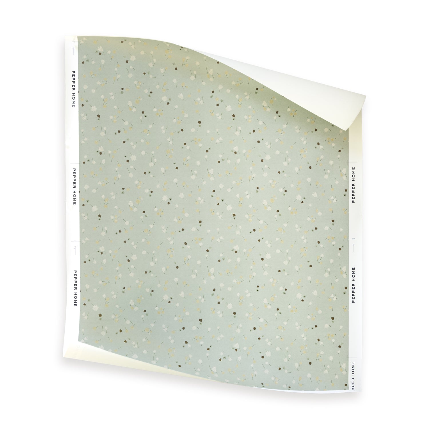 Campbell Celadon