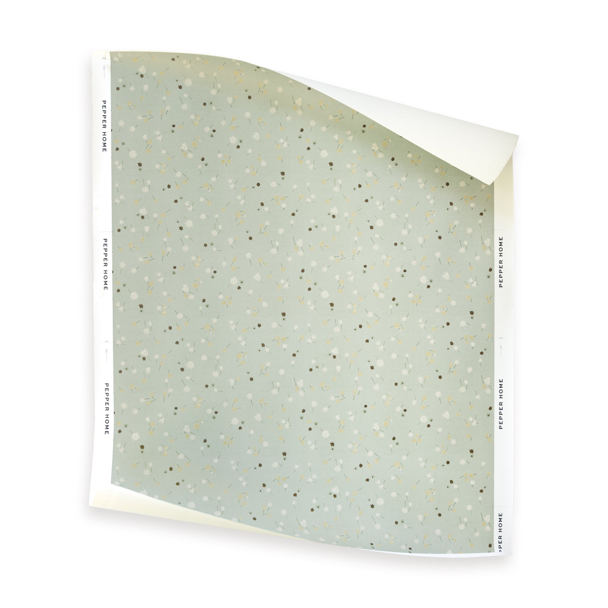 Campbell Celadon