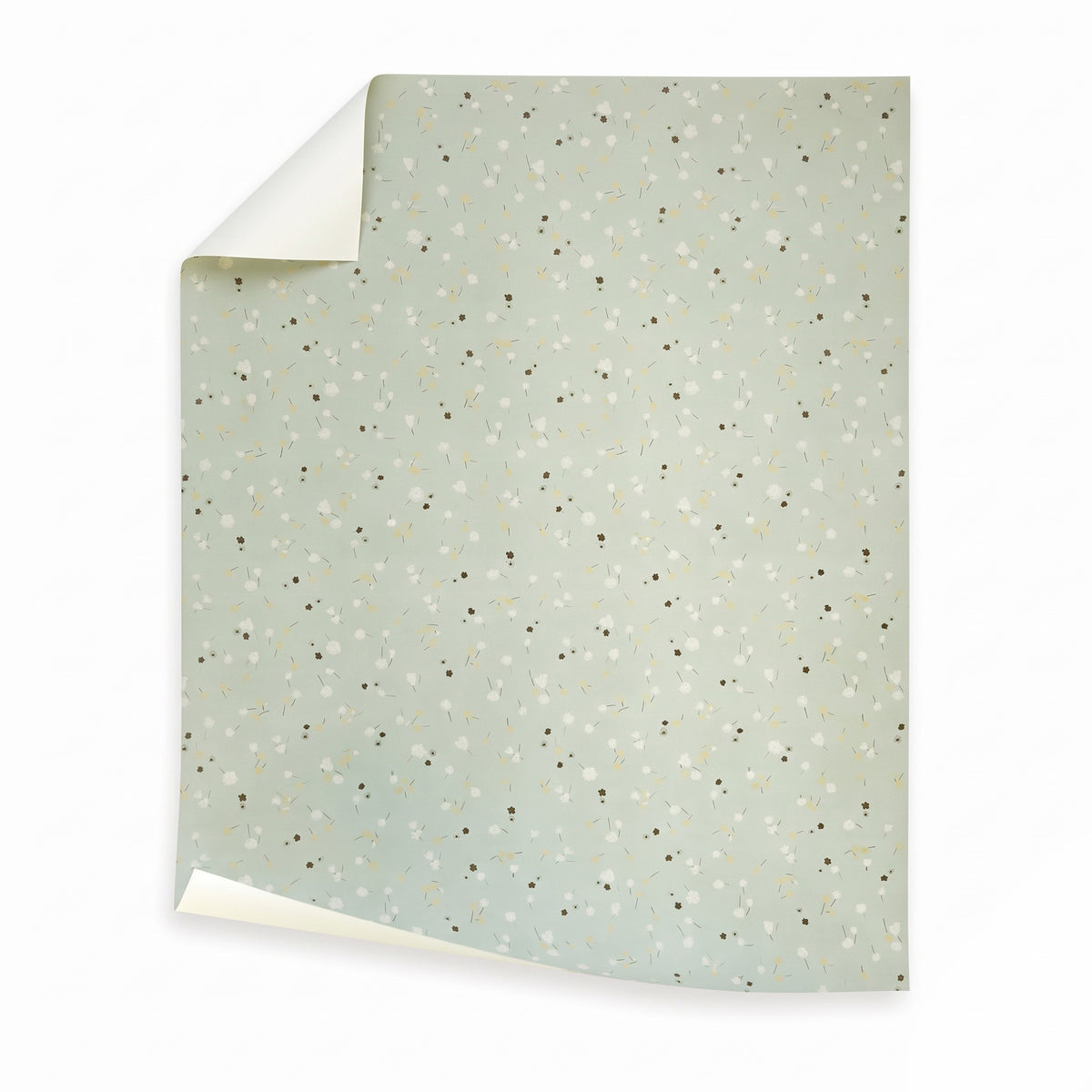 Campbell Celadon