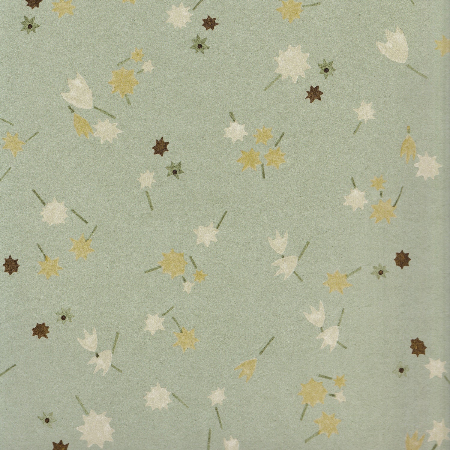 Campbell Celadon