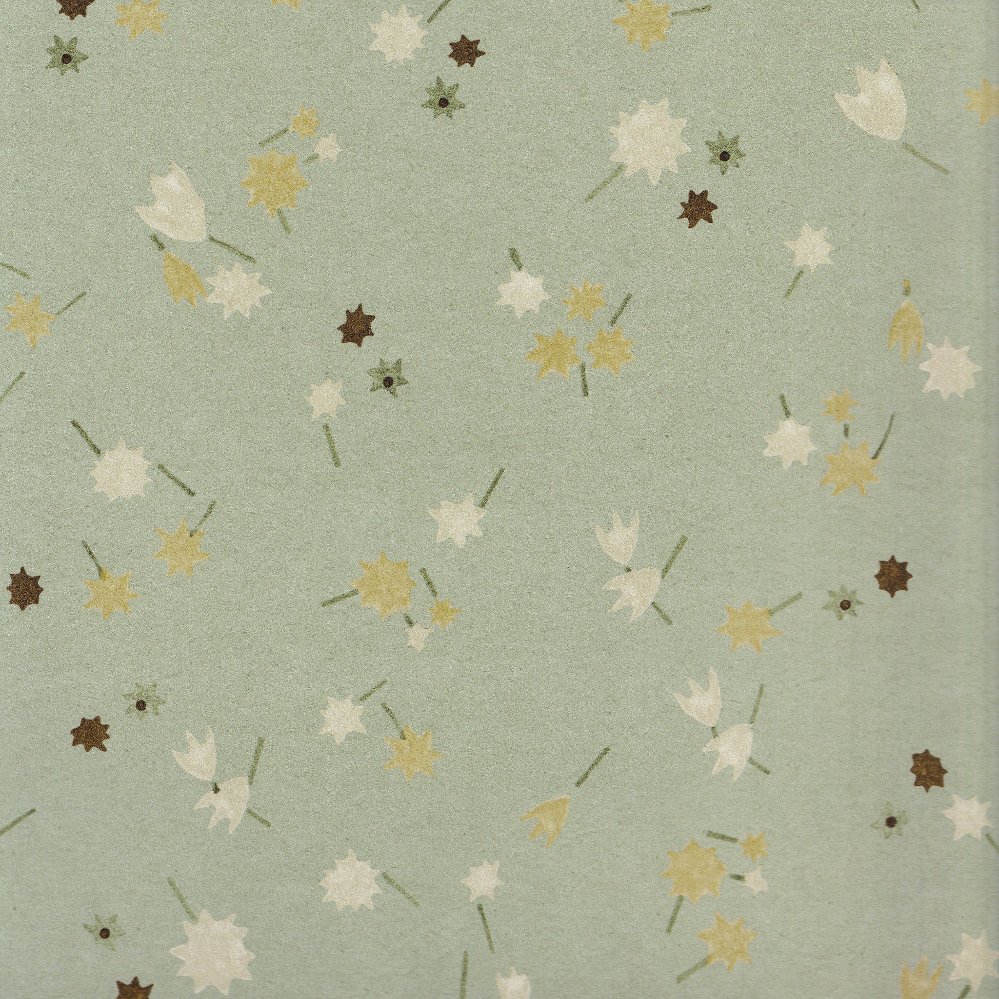 Campbell Celadon