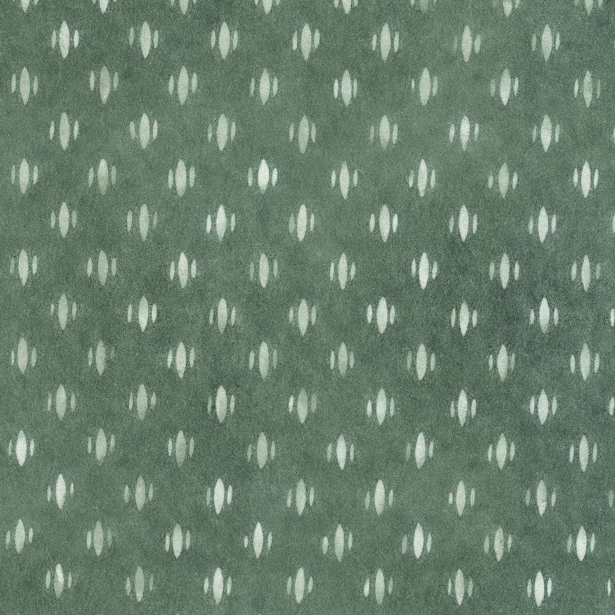 Maude Celadon