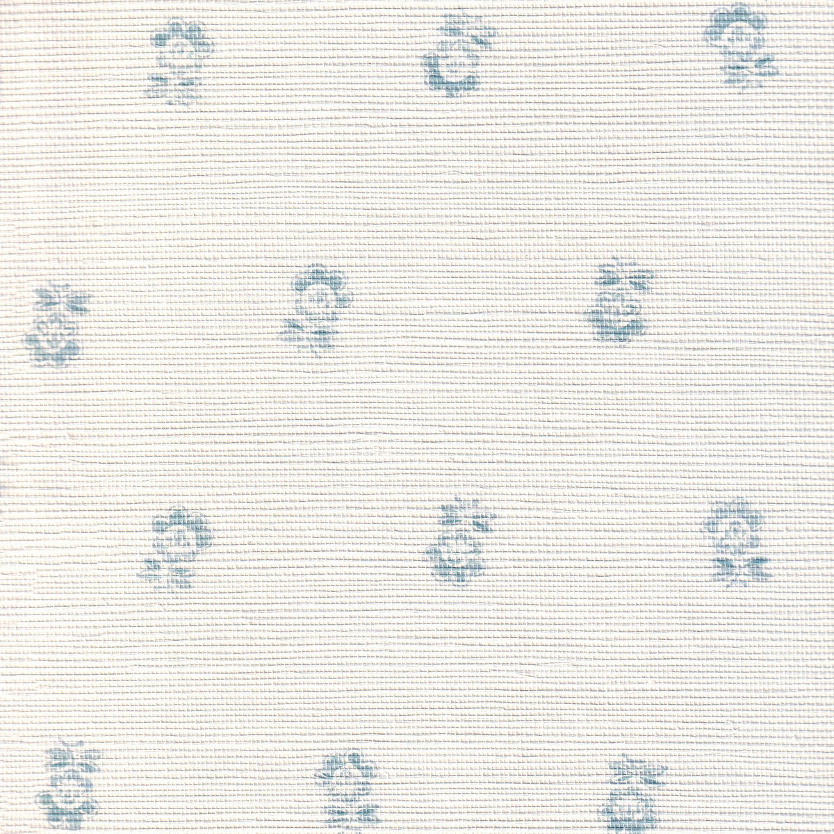 Betty Cornflower