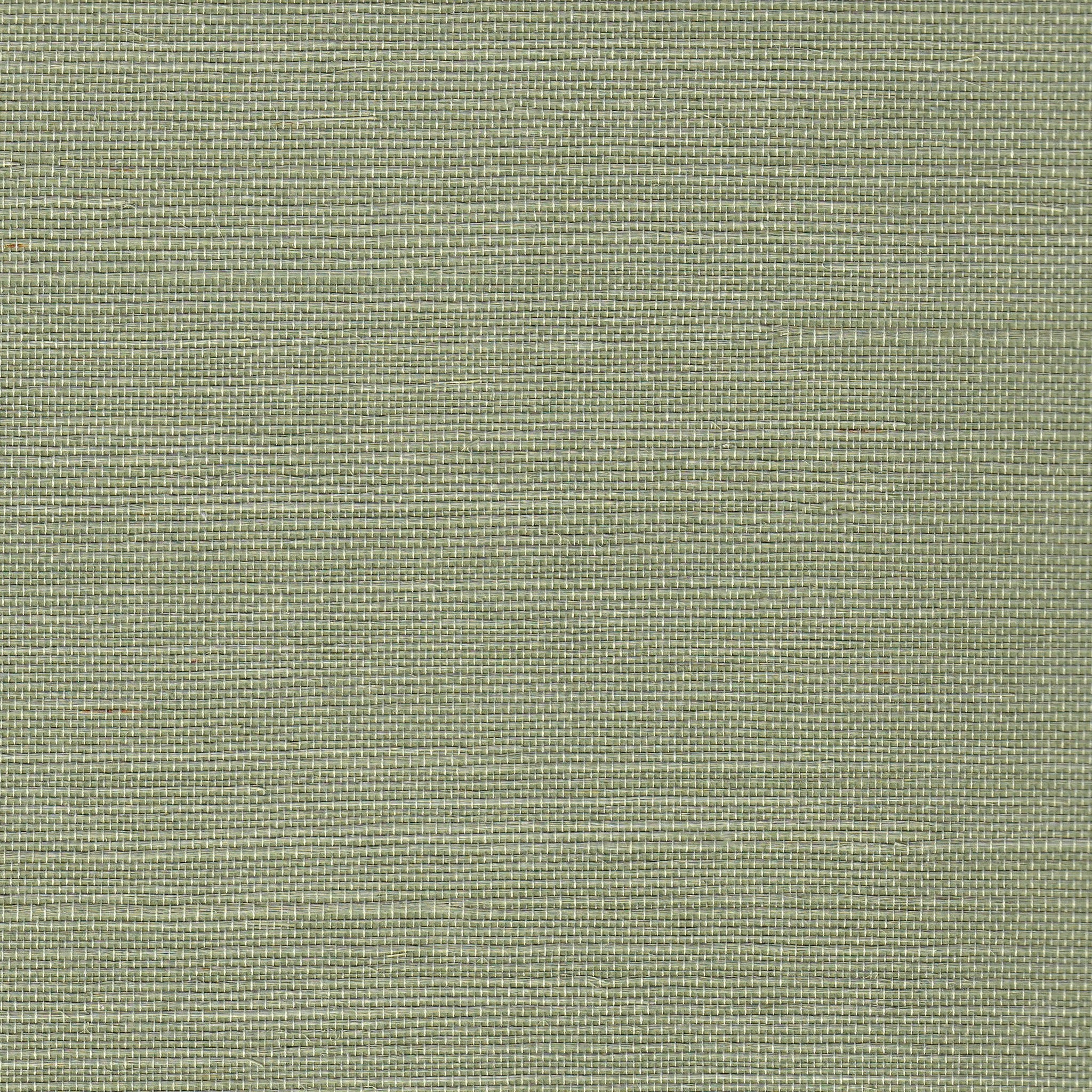 close up of Green Grasscloth Wallpaper