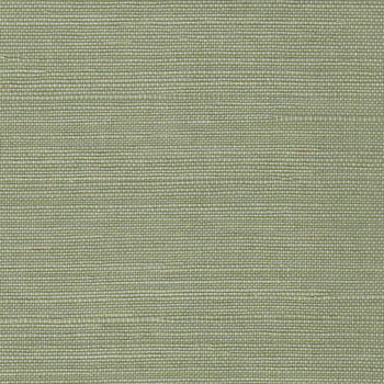 close up of Green Grasscloth Wallpaper