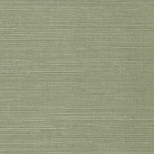 close up of Green Grasscloth Wallpaper
