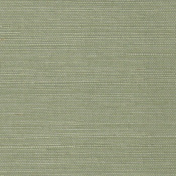 close up of Green Grasscloth Wallpaper