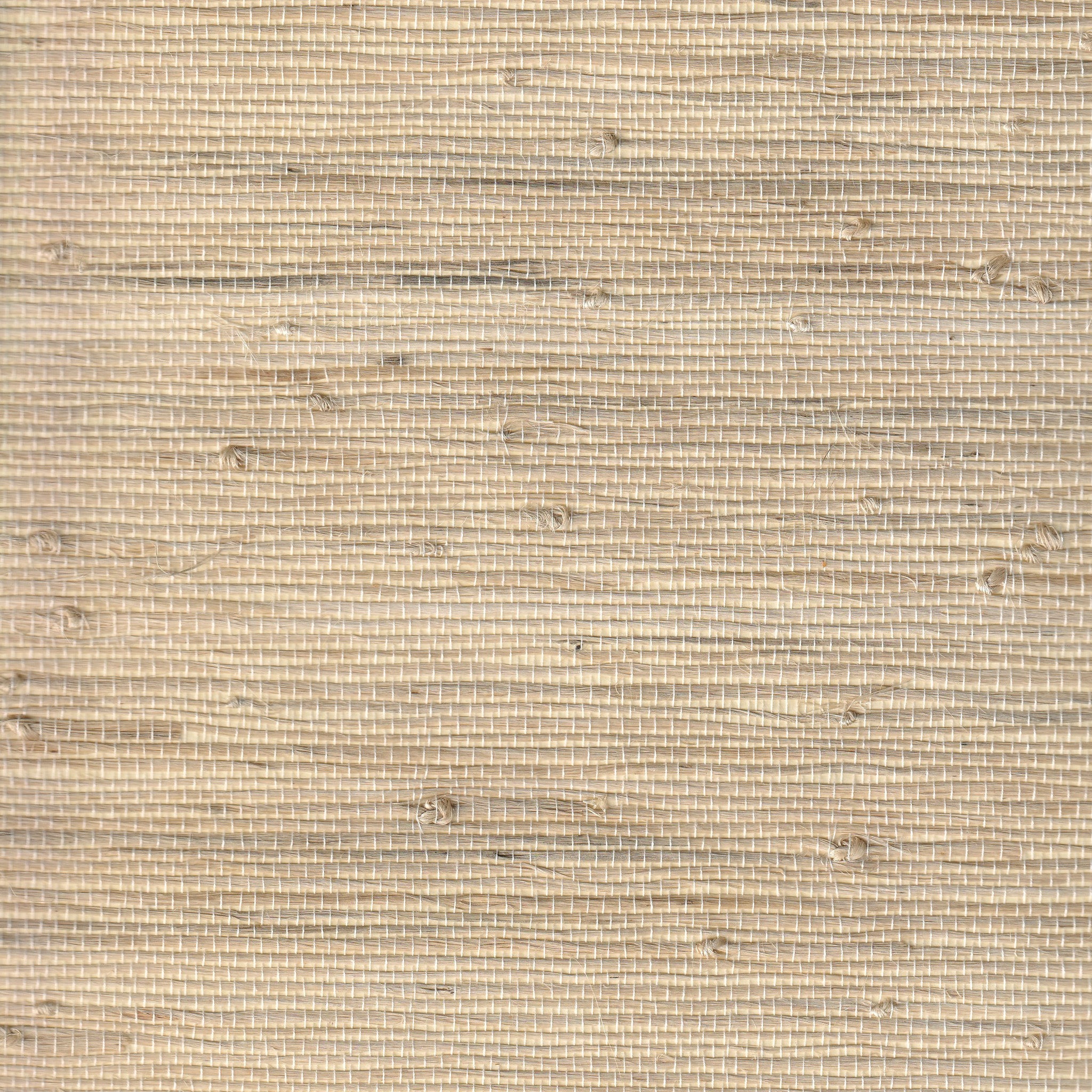Sand Jute Grasscloth Wallpaper Swatch
