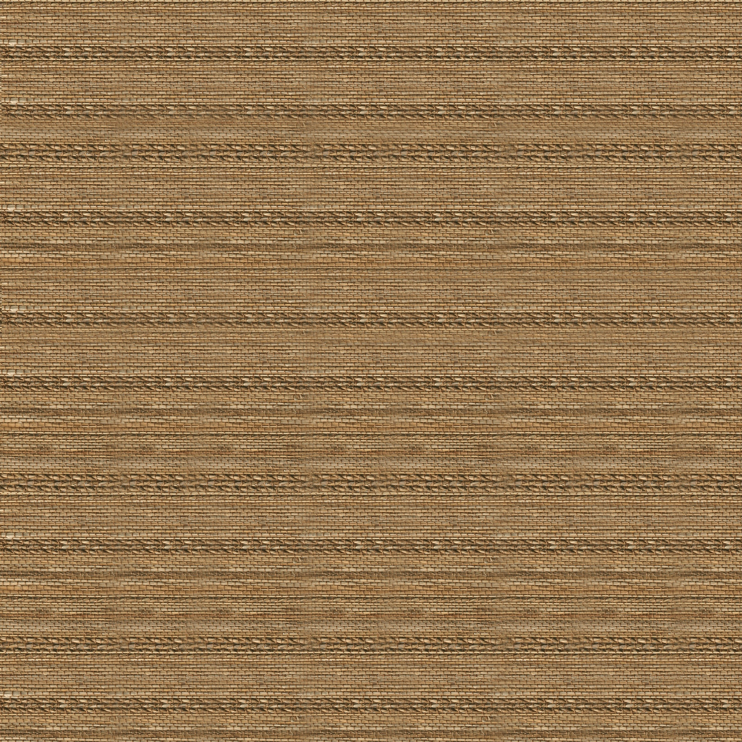 Sahara