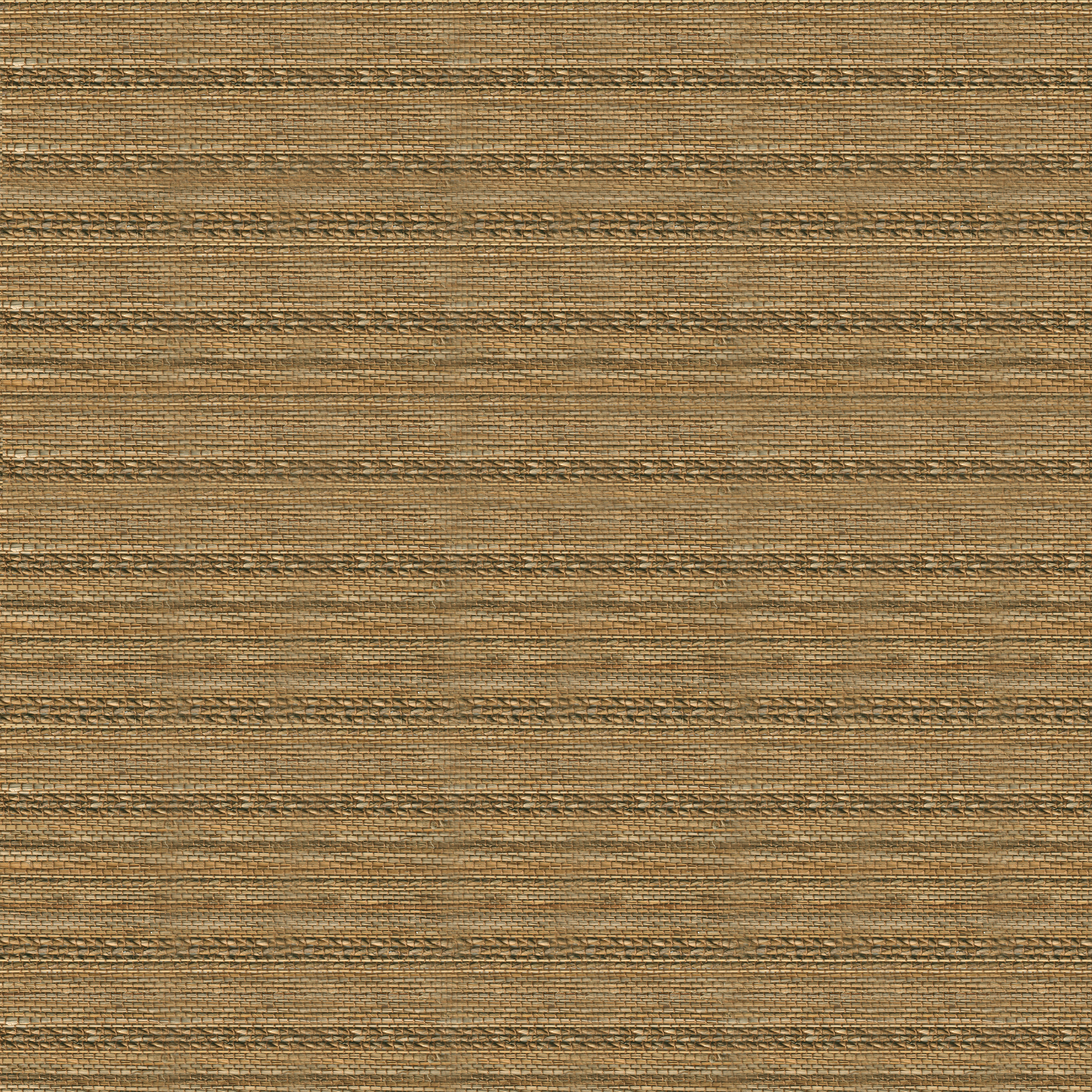 Sahara