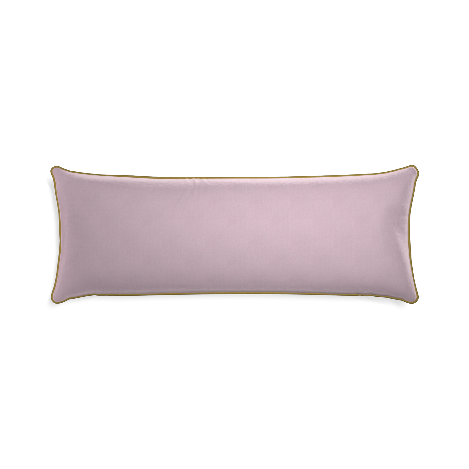Xl-lumbar lilac velvet custom lilacpillow with c piping on white background
