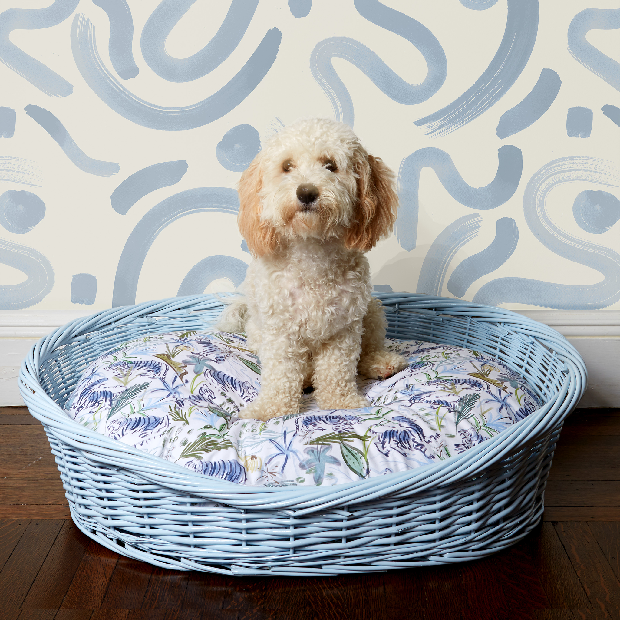 Close-up of dog on Blue With Intricate Tiger Design Printed Dog Bed in front of Sky Blue Printed Wallpaper