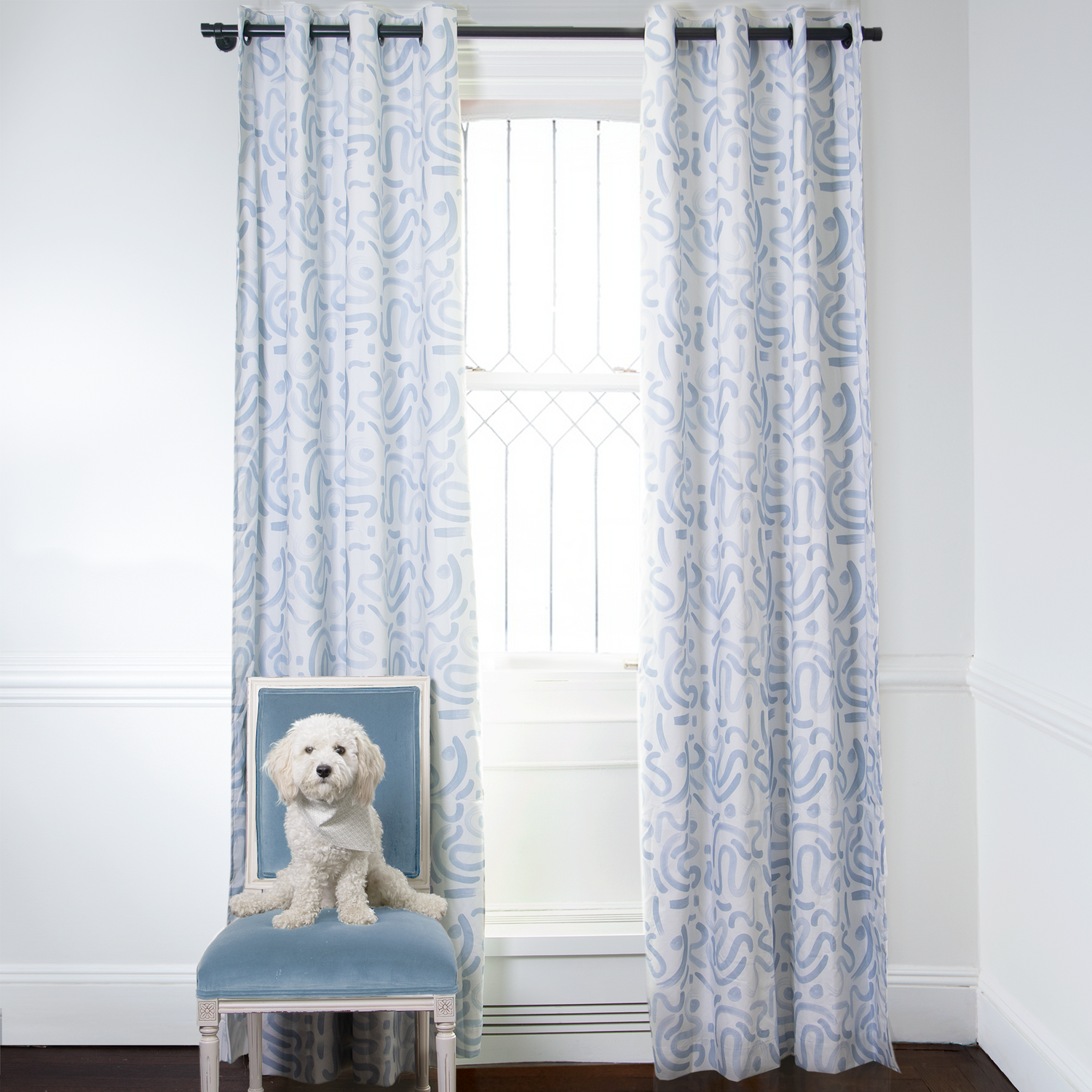 Sky Blue Printed Curtains on metal rod in front of an illuminated window with Sky Blue Velvet chair with white dog on top