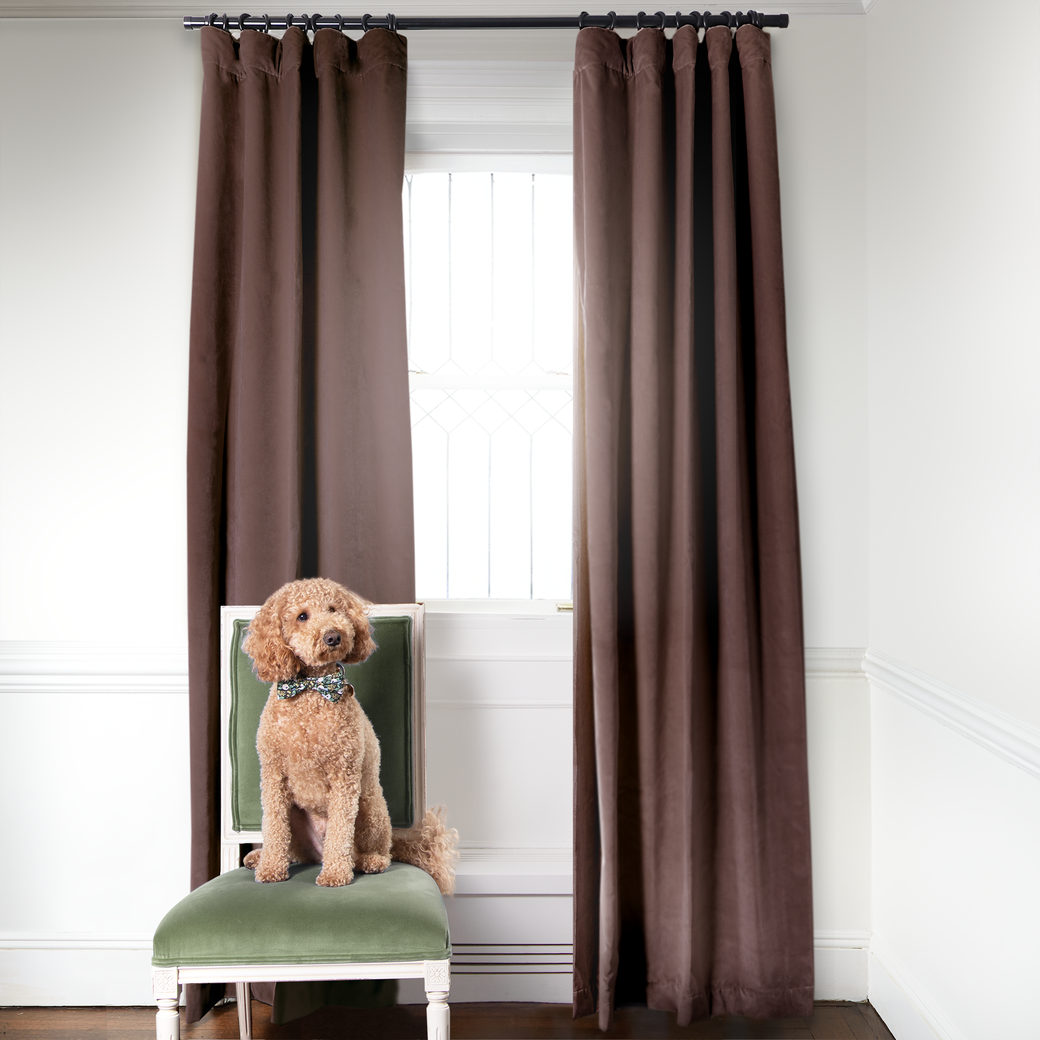 Brown Velvet curtains on metal rod in front of an illuminated window with green velvet chair with light brown dog sitting
