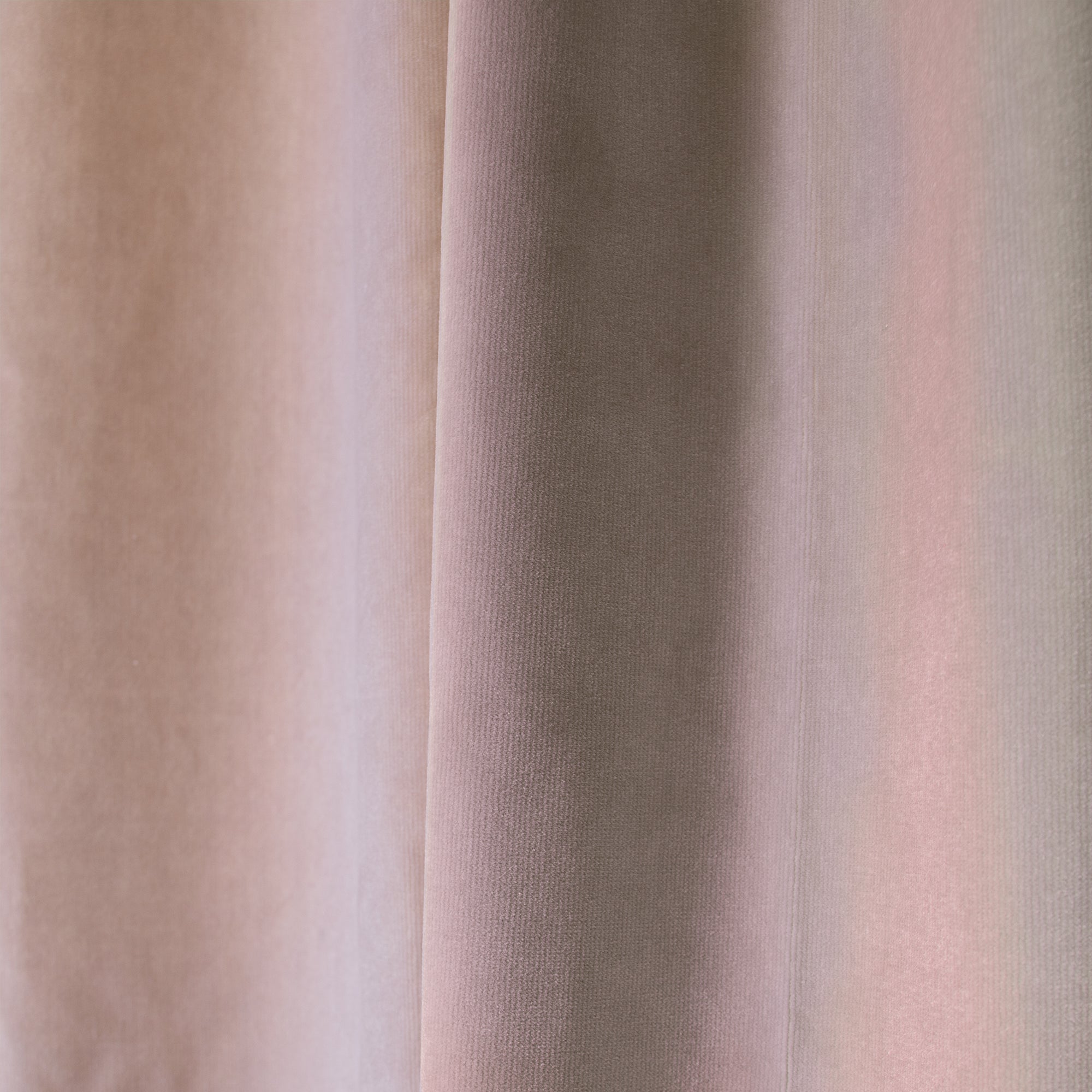Pink Velvet Curtain Close-Up