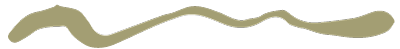 Squiggle page divider